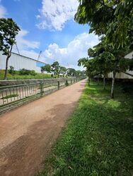 Holland Grove (D10), Semi-Detached #451650351